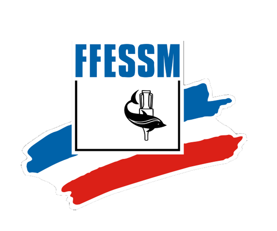 Logo ffessm